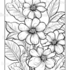Wildflower Dreams Coloring Book: For Seniors, Women, Men, Girls and Boys