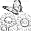 Butterflies & Flowers Coloring Book: Anti-Stress, Anxiety, and Relaxation For Adults and Teens