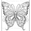 Mandala Butterflies Coloring Book: Anti-Stress, Anxiety, and Relaxation For Adults and Teens