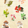 Collage Mushroom, Plant, & Flower Cut-outs & 9 Scrapbook Pages