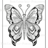 Mandala Butterflies Coloring Book: Anti-Stress, Anxiety, and Relaxation For Adults and Teens