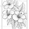 Wildflower Dreams Coloring Book: For Seniors, Women, Men, Girls and Boys
