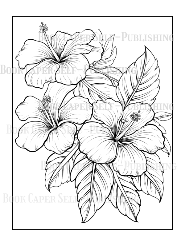 Wildflower Dreams Coloring Book: For Seniors, Women, Men, Girls and Boys