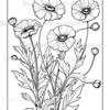 Wildflower Dreams Coloring Book: For Seniors, Women, Men, Girls and Boys