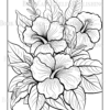 Wildflower Dreams Coloring Book: For Seniors, Women, Men, Girls and Boys