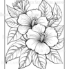 Wildflower Dreams Coloring Book: For Seniors, Women, Men, Girls and Boys