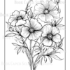 Wildflower Dreams Coloring Book: For Seniors, Women, Men, Girls and Boys