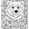 Animals In Wildflowers Coloring Book