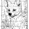 Animals In Wildflowers Coloring Book