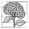 50 Stained Glass Flowers: Simple Coloring Book For Adults and Kids, Featuring Easy to Color Florals of All Kinds for Relaxation